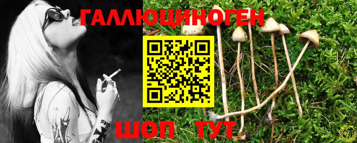 наркошоп  Галлюциногенные грибы мицелий  Слободской  Вход с VPN  Псилоцибиновые грибы ЛСД 