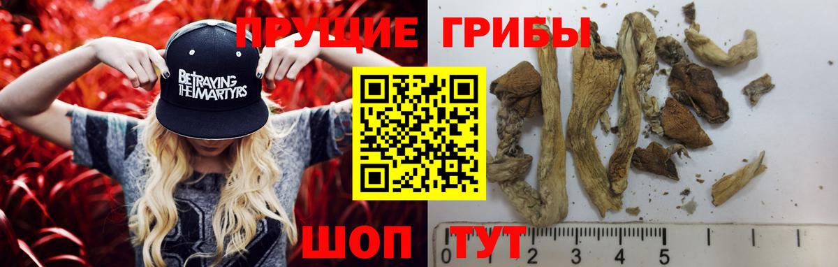 Галлюциногенные грибы прущие грибы Слободской